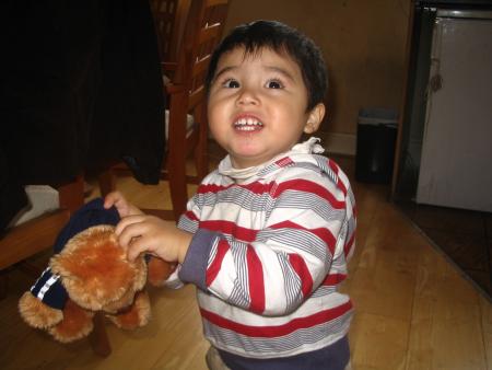 Le petit louis