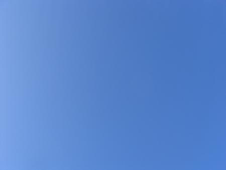 Life in blue