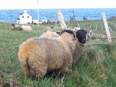 Short trip in Northerm Ireland